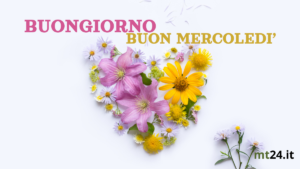 Fiori colorati e amore per un mercoledì pieno di gioia e con le nostre fasi di buongiorno buon mercoledì