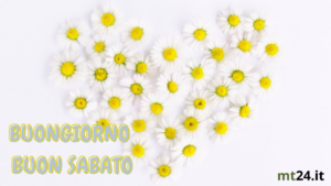 Buongiorno e buon sabato! Con amore e fiori, inizia al meglio la tua giornata.