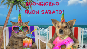 Messaggio di buongiorno con 'Buon sabato!' accompagnato da immagini di relax al mare con animali domestici, dolci e momenti piacevoli