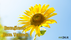 buon venerdì