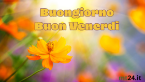 Fiori profumati e un raggio di luce per un venerdì splendente