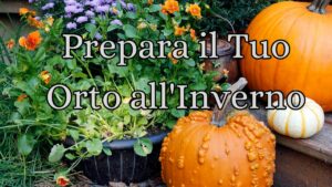 Sagomatura terreno orto