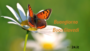 Buongiorno 22 agosto