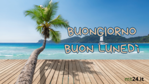 Buon lunedì! 🌊 Iniziamo la settimana con la calma del mare e la serenità delle palme. Buongiorno!
