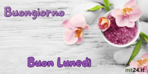Frasi Buongiorno Lunedì con fiori colorati