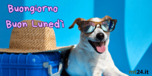 buon lunedi con il cane