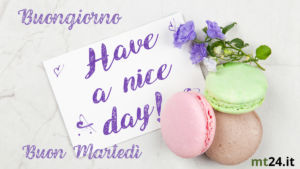 Buongiorno e felice martedì! Che tu possa avere una splendida giornata!
