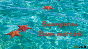 Buongiorno, buon martedì! Approfittiamo al massimo di questi ultimi giorni d'estate!