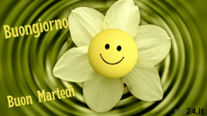 Buon martedì! Comincia con un sorriso e vedrai che la giornata sarà fantastica!
