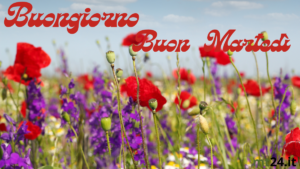 Buon martedì! Circondati di fiori e natura, e lascia che la giornata sbocci al meglio!