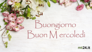 Fiori colorati e profumati per augurare un buon mercoledì pieno di gioia.