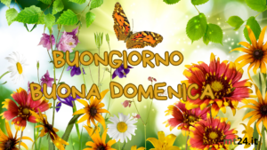 Fiori e colori della natura. Buongiorno e buona domenica!