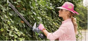 Attrezzi da giardino a batteria - TS20 tagliasiepe