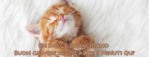 Buongiorno e buon giovedì! Resta altri 5 minuti a goderti il relax del mattino