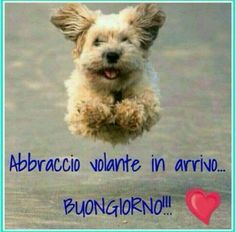Buongiorno e Buona Domenica 29 Settembre