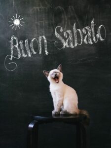 Buon Sabato 21 Settembre