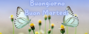 Buongiorno Martedì 17 Settembre