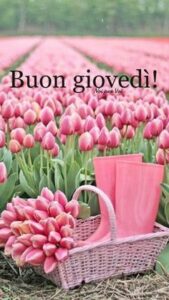 Buon Giovedì 26 Settembre