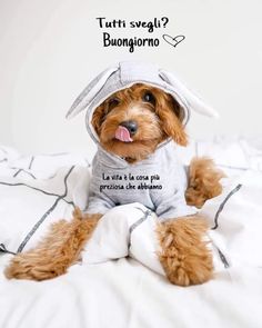 Buona Domenica 22 Settembre