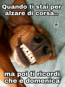 Buona Domenica 22 Settembre