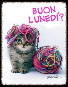buon lunedì 23 settembre