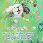 Buongiorno e Buona Domenica 29 Settembre