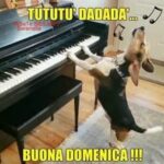Buongiorno e Buona Domenica 29 Settembre
