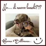 Buongiorno e Buon Lunedì 30 Settembre