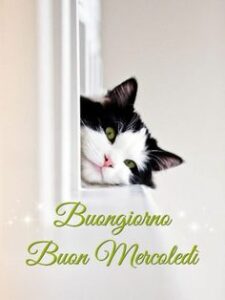 Buongiorno 25 settembre 2024