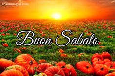 Buongiorno e Buon Sabato 28 Settembre