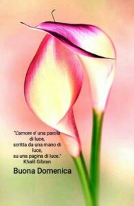 Buona Domenica 22 Settembre