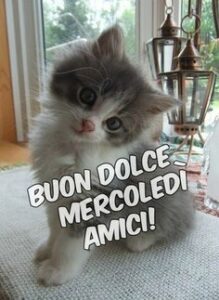 Buongiorno 25 settembre 2024
