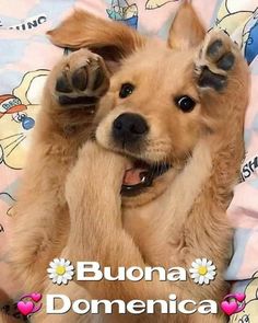 Buona Domenica 22 Settembre