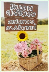 Buon Martedì 24 Settembre