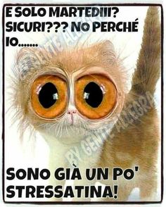 Buon Martedì 24 Settembre