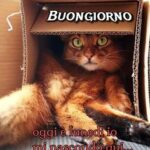 Buongiorno e Buon Lunedì 30 Settembre