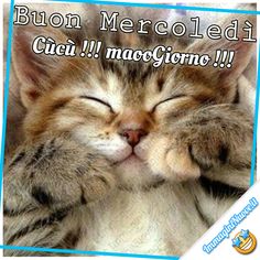 Buongiorno 25 settembre 2024