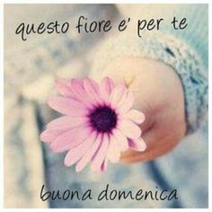 Buona Domenica 22 Settembre