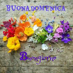 Buona Domenica 22 Settembre