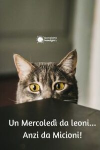 Buongiorno 25 settembre 2024