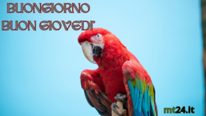 Svegliati e inizia la giornata con energia! Non rimandare più, il nuovo giorno è pieno di opportunità da cogliere.