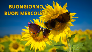 Buongiorno e buon mercoledì, inizia la giornata con luce e un sorriso.