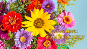 Buon mercoledì! I colori brillanti e i fiori freschi ispirano la gioia e il rinnovamento di ogni nuovo giorno.