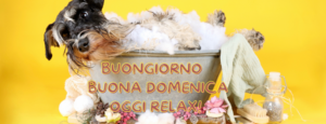 mmagine con la scritta 'Buongiorno e Buona Domenica' accompagnata da elementi che richiamano il relax, come una coperta, un libro o un momento di riposo. Un augurio di una giornata di completo relax