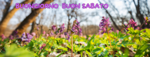 Immagine di un paesaggio naturale con il sole che splende, accompagnato dal messaggio 'Buon sabato