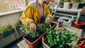 Preparazione e miscelazione del terriccio per un orto in balcone, mostrando come preparare il terreno e piantare verdure per una crescita ottimale.