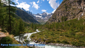 Parco Nazionale del Gran Paradiso, destinazione ideale per trekking tra fauna selvatica e paesaggi alpini.