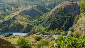 Parco Nazionale dell'Aspromonte, destinazione ideale per trekking immersi nella natura selvaggia della Calabria.