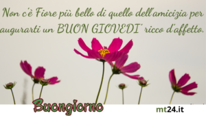 "Buongiorno e buon giovedì! Inizia la giornata con il profumo dei fiori e un sorriso. Che il loro dolce aroma riempia la tua giornata di gioia e serenità!"