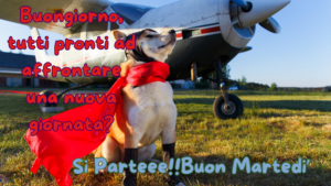 Messaggio di buongiorno con entusiasmo per affrontare una nuova giornata, augurando un buon martedì con energia positiva.